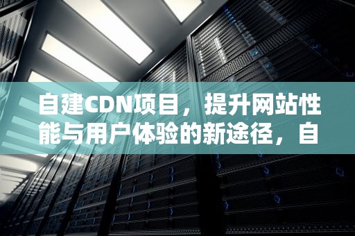 自建CDN项目，提升网站性能与用户体验的新途径，自建cdn平台