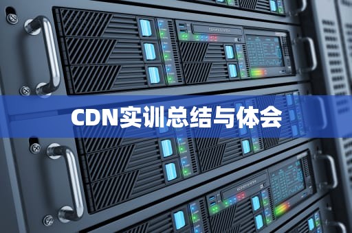 CDN实训总结与体会