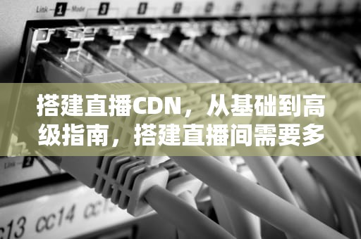 搭建直播CDN，从基础到高级指南，搭建直播间需要多少资金