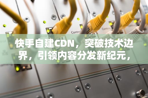 快手自建CDN，突破技术边界，引领内容分发新纪元，快手自建小店商品是什么