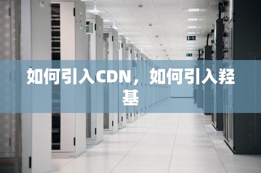 如何引入CDN，如何引入羟基