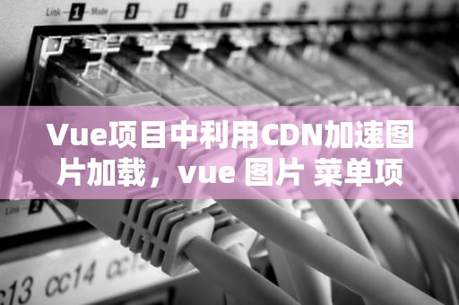 Vue项目中利用CDN加速图片加载，vue 图片 菜单项