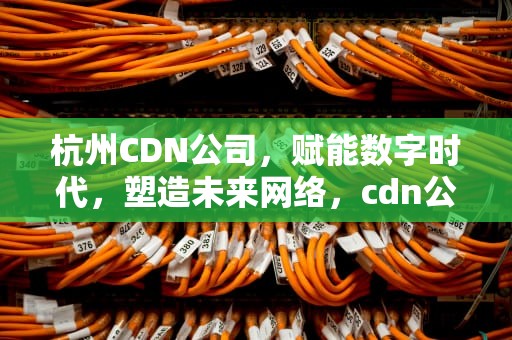 杭州CDN公司，赋能数字时代，塑造未来网络，cdn公司有哪些