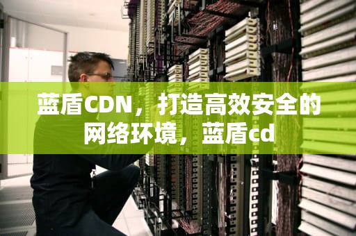 蓝盾CDN，打造高效安全的网络环境，蓝盾cd