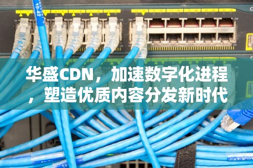 华盛CDN，加速数字化进程，塑造优质内容分发新时代，华盛cd5888cb辉