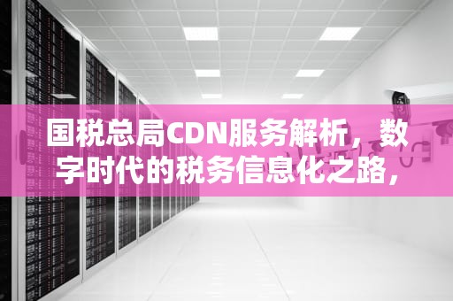 国税总局CDN服务解析，数字时代的税务信息化之路，国税总局官网