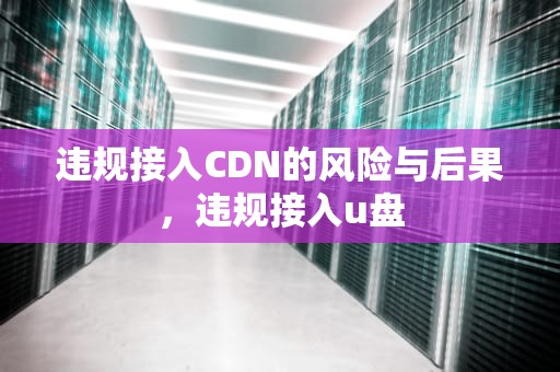 违规接入CDN的风险与后果，违规接入u盘