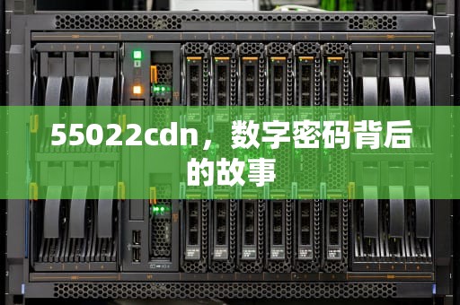 55022cdn，数字密码背后的故事