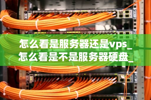 怎么看是服务器还是vps_怎么看是不是服务器硬盘_服务器与VPS的区别及如何区分