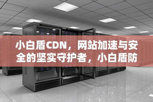 小白盾CDN，网站加速与安全的坚实守护者，小白盾防晒霜怎么样