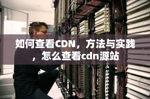 如何查看CDN，方法与实践，怎么查看cdn源站