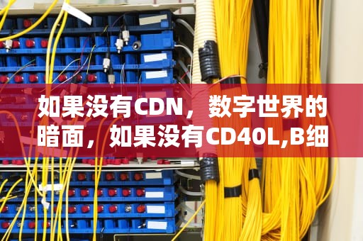 如果没有CDN，数字世界的暗面，如果没有CD40L,B细胞