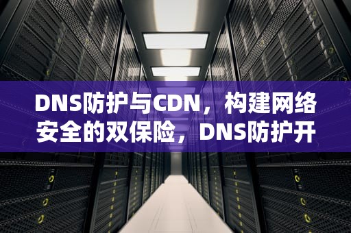 DNS防护与CDN，构建网络安全的双保险，DNS防护开不开