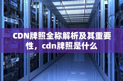 CDN牌照全称解析及其重要性，cdn牌照是什么