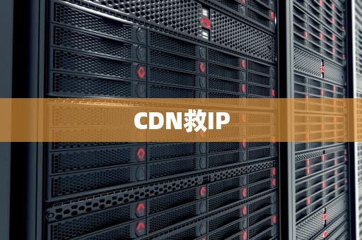 CDN救IP