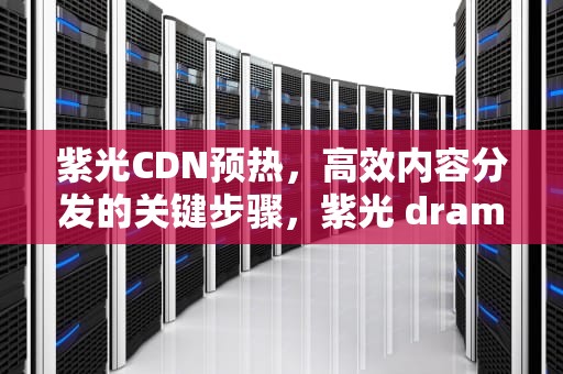 紫光CDN预热，高效内容分发的关键步骤，紫光 dram