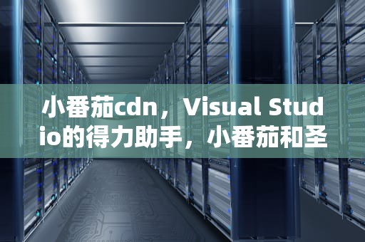 小番茄cdn，Visual Studio的得力助手，小番茄和圣女果的区别