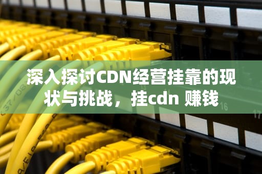 深入探讨CDN经营挂靠的现状与挑战，挂cdn 赚钱