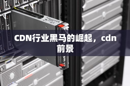 CDN行业黑马的崛起，cdn前景