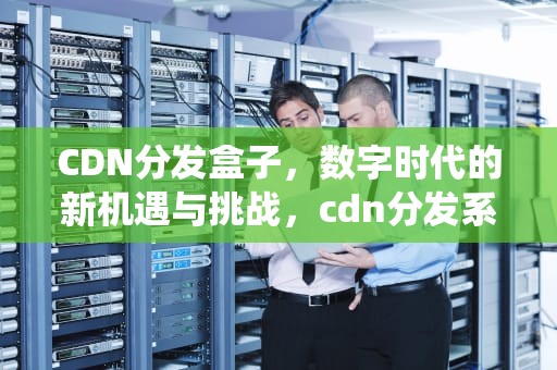 CDN分发盒子，数字时代的新机遇与挑战，cdn分发系统