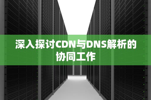 深入探讨CDN与DNS解析的协同工作