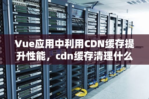 Vue应用中利用CDN缓存提升性能，cdn缓存清理什么意思