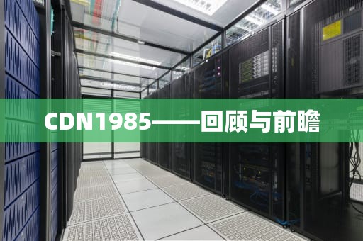CDN1985——回顾与前瞻