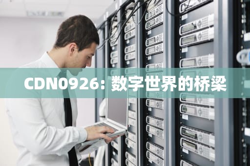 CDN0926: 数字世界的桥梁