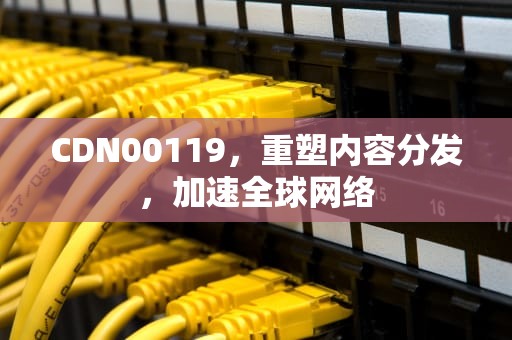CDN00119，重塑内容分发，加速全球网络