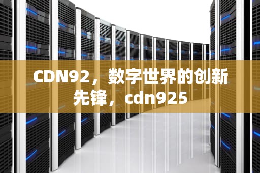 CDN92，数字世界的创新先锋，cdn925