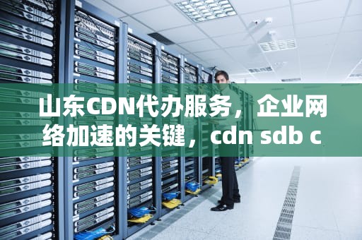 山东CDN代办服务，企业网络加速的关键，cdn sdb com cn
