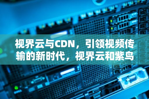 视界云与CDN，引领视频传输的新时代，视界云和紫鸟云哪个好