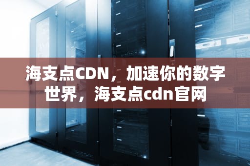 海支点CDN，加速你的数字世界，海支点cdn官网