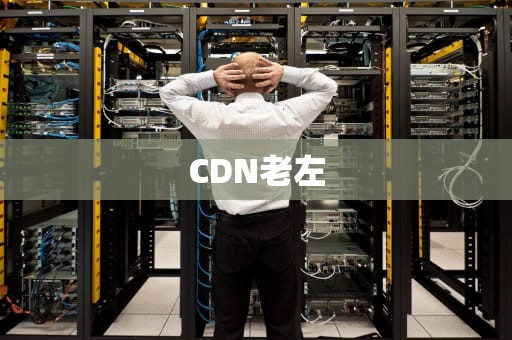 CDN老左