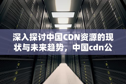 深入探讨中国CDN资源的现状与未来趋势，中国cdn公司