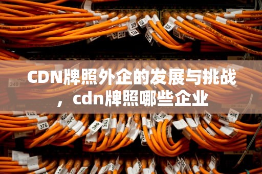 CDN牌照外企的发展与挑战，cdn牌照哪些企业