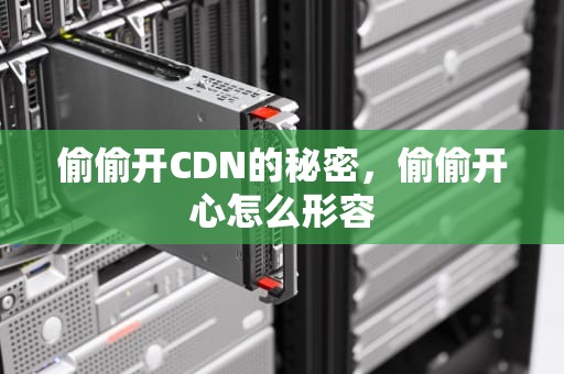 偷偷开CDN的秘密，偷偷开心怎么形容