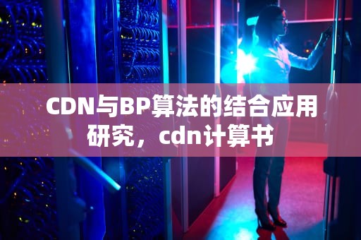 CDN与BP算法的结合应用研究，cdn计算书