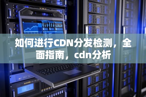 如何进行CDN分发检测，全面指南，cdn分析