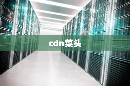 cdn菜头