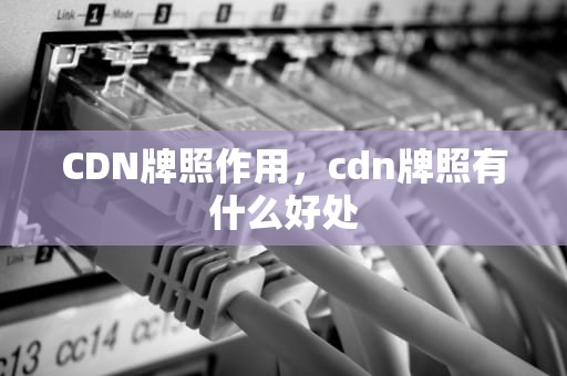 CDN牌照作用，cdn牌照有什么好处