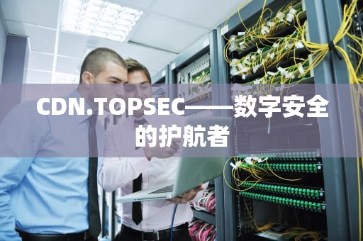CDN.TOPSEC——数字安全的护航者