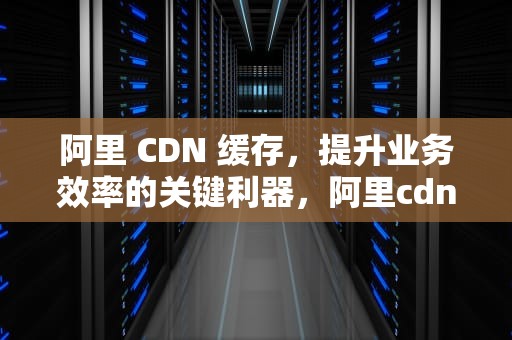 阿里 CDN 缓存，提升业务效率的关键利器，阿里cdn缓存如何清理