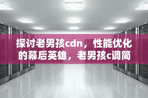 探讨老男孩cdn，性能优化的幕后英雄，老男孩c调简谱