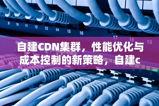 自建CDN集群，性能优化与成本控制的新策略，自建cdn部署平台