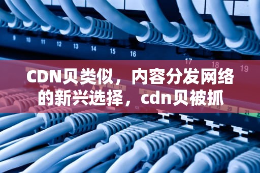 CDN贝类似，内容分发网络的新兴选择，cdn贝被抓