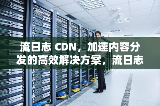 流日志 CDN，加速内容分发的高效解决方案，流日志是啥