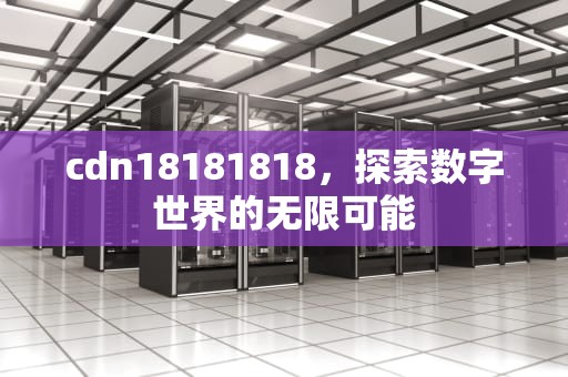 cdn18181818，探索数字世界的无限可能