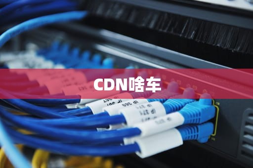 CDN啥车