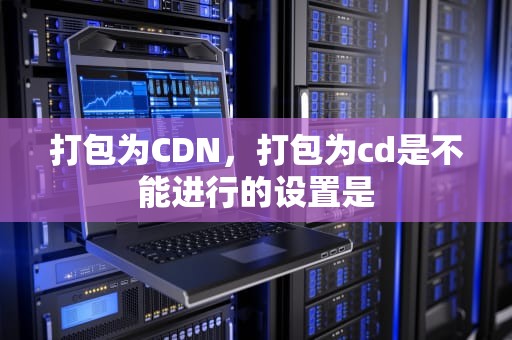 打包为CDN，打包为cd是不能进行的设置是